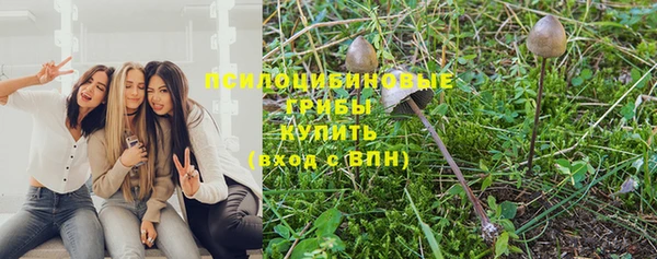 винт Бугульма