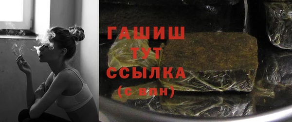 амф Бородино