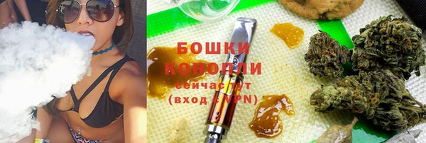 амф Бородино